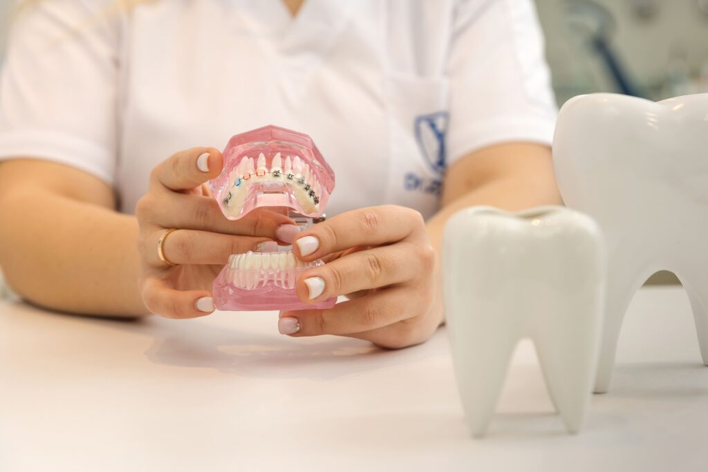 Demonstration model of braces